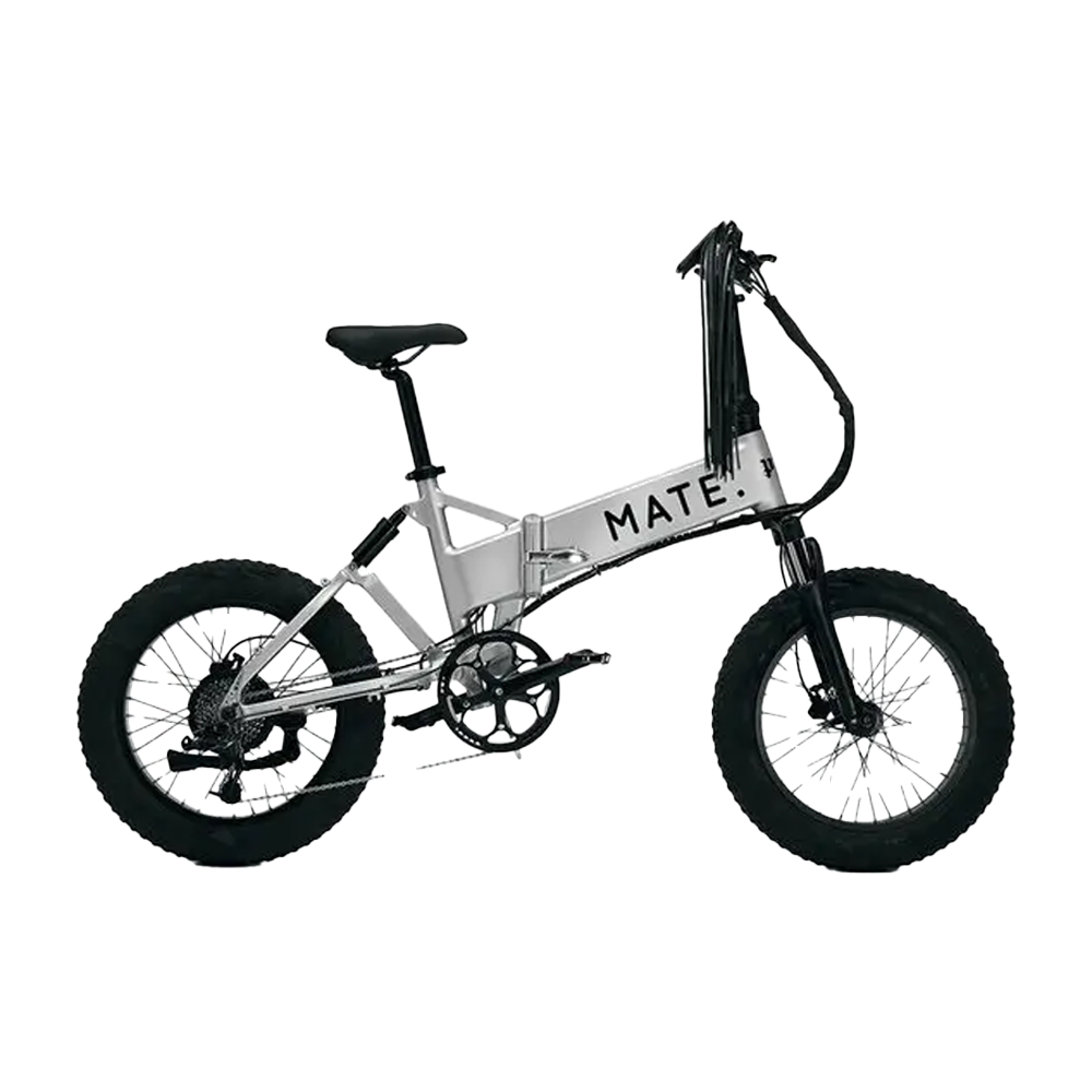 MATE X - Palm Angel Silver